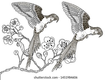 Coloring Pages. Coloring Book for adults and children. Colouring pictures with parrots and flowers. Antistress freehand sketch drawing with doodle and zentangle element