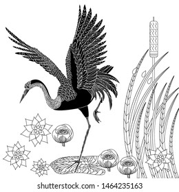 Coloring Pages. Coloring Book for adults and children. Colouring pictures with stork. Antistress freehand sketch drawing with doodle and zentangle element