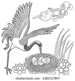 Coloring Pages. Coloring Book for adults and children. Colouring pictures with stork. Antistress freehand sketch drawing with doodle and zentangle element