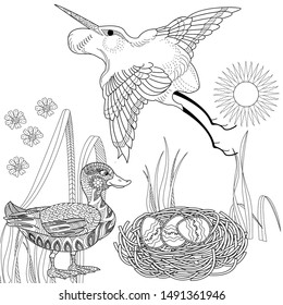 Coloring Pages. Coloring Book for adults and children. Colouring pictures with stork. Antistress freehand sketch drawing with doodle and zentangle element