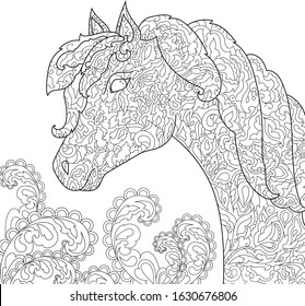 Coloring Pages. Coloring Book for adults and children.  Vector illustration.