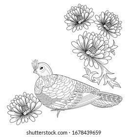 Coloring Pages. Coloring Book for adults and children. Colouring pictures with birds. Antistress freehand sketch drawing with doodle and zentangle elements.