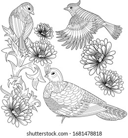 Garden Coloring Pages Images, Stock Photos & Vectors | Shutterstock