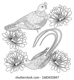 Coloring Pages. Coloring Book for adults and children. Colouring pictures with birds. Antistress freehand sketch drawing with doodle and zentangle elements.