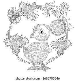 Coloring Pages. Coloring Book for adults and children. Colouring pictures with birds and flowers. Antistress freehand sketch drawing with doodle and zentangle elements.