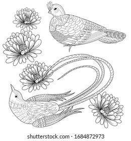 Coloring Pages. Coloring Book for adults and children. Colouring pictures with birds. Antistress freehand sketch drawing with doodle and zentangle elements.
