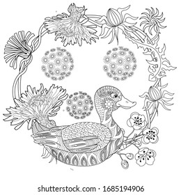 Coloring Pages. Coloring Book for adults and children. Colouring pictures with birds and flowers. Antistress freehand sketch drawing with doodle and zentangle elements.