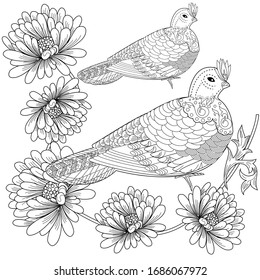 adult coloring birds flowers images stock photos vectors shutterstock