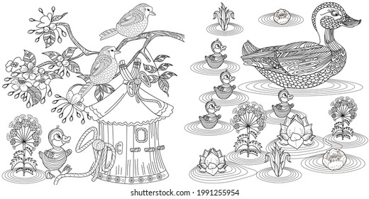 Coloring Pages. Coloring Book for adults and children. Colouring pictures with birds and birdhouse. Antistress freehand sketch drawing with doodle and zentangle elements.