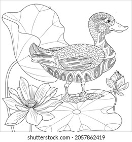 Coloring Pages. Coloring Book for adults and children. Colouring pictures with duck. Linear engraved art. Bird concept. Romantic concept. Vector design