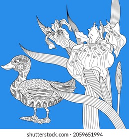 Coloring Pages. Coloring Book for adults and children. Colouring pictures with duck. Linear engraved art. Bird concept. Romantic concept. Vector design