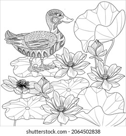 coloring pages coloring book adults children stock vector royalty free 2064502838 shutterstock