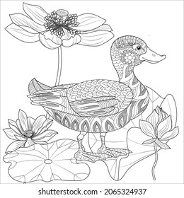 Coloring Pages. Coloring Book for adults and children. Colouring pictures with duck. Linear engraved art. Bird concept. Romantic concept. Vector design
