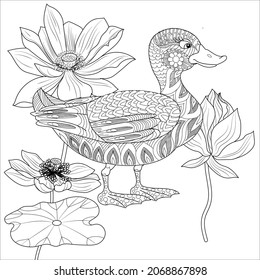 Coloring Pages. Coloring Book for adults and children. Colouring pictures with duck. Linear engraved art. Bird concept. Romantic concept. Vector design