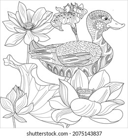 Coloring Pages. Coloring Book for adults and children. Colouring pictures with duck. Linear engraved art. Bird concept. Romantic concept. Vector design