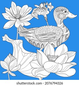 Coloring Pages. Coloring Book for adults and children. Colouring pictures with duck. Linear engraved art. Bird concept. Romantic concept. Vector design