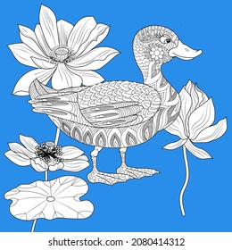 Coloring Pages. Coloring Book for adults and children. Colouring pictures with duck. Linear engraved art. Bird concept. Romantic concept. Vector design