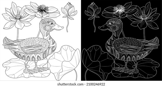 Coloring Pages. Coloring Book for adults and children. Colouring pictures with duck. Linear engraved art. Bird concept. Romantic concept. Vector design
