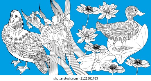 Coloring Pages. Coloring Book for adults and children. Colouring pictures with duck. Linear engraved art. Bird concept. Romantic concept. Vector design