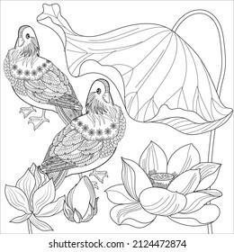 Coloring Pages. Coloring Book for adults and children. Colouring pictures with duck. Linear engraved art. Bird concept. Romantic concept. Vector design