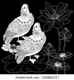 Coloring Pages. Coloring Book for adults and children. Colouring pictures with duck. Linear engraved art. Bird concept. Romantic concept. Vector design
