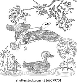 Coloring Pages. Coloring Book for adults and children. Colouring pictures with duck. Linear engraved art. Bird concept. Romantic concept. Vector design
