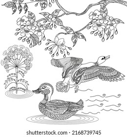 Coloring Pages. Coloring Book for adults and children. Colouring pictures with duck. Linear engraved art. Bird concept. Romantic concept. Vector design
