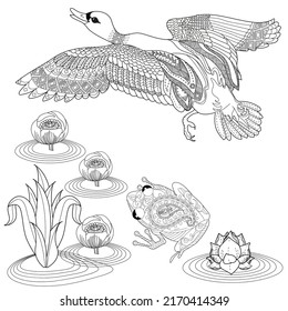 Coloring Pages. Coloring Book for adults and children. Colouring pictures with ducks. Linear engraved art. Bird concept. Romantic concept. Vector design
