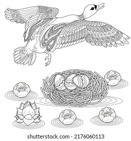 Coloring Pages. Coloring Book for adults and children. Colouring pictures with duck. Linear engraved art. Bird concept. Romantic concept. Vector design
