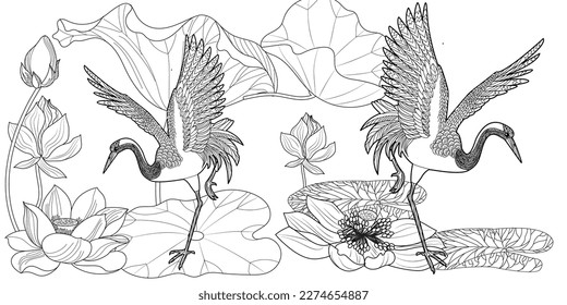 Coloring Pages. Coloring Book for adults and children. Colouring pictures with stork. Linear engraved art. Bird concept. Romantic concept. Vector design
