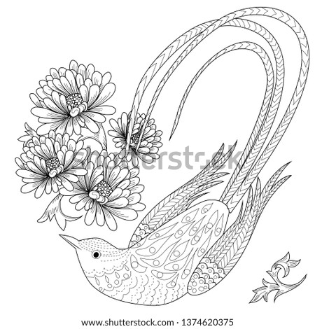 75 Coloring Pages Flowers And Birds Images & Pictures In HD