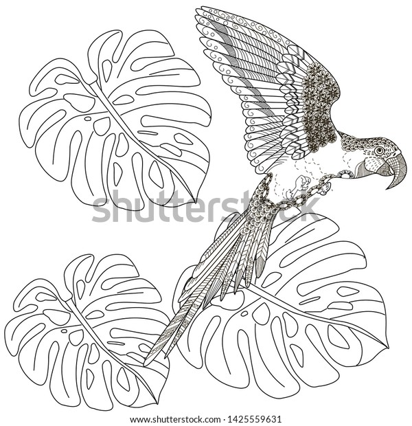 68 Animal Kingdom Coloring Pages Printable  Best Free