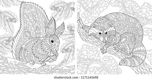 Coloring Pages. Coloring Book for adults. Colouring pictures with squirrel and raccoon. Antistress freehand sketch drawing with doodle and zentangle elements.