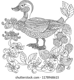 Coloring Pages. Coloring Book for adults. Colouring pictures with duck. Antistress freehand sketch drawing with doodle and zentangle elements.