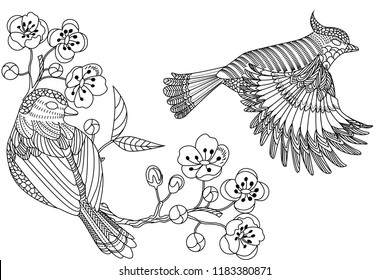 Coloring Pages. Coloring Book for adults. Colouring pictures with bird. Antistress freehand sketch drawing with doodle and zentangle elements.