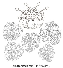 Coloring Pages. Coloring Book for adults. Colouring pictures with flowers. Antistress freehand sketch drawing with doodle and zentangle elements.
