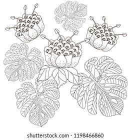 Coloring Pages. Coloring Book for adults. Colouring pictures with flowers. Antistress freehand sketch drawing with doodle and zentangle elements.