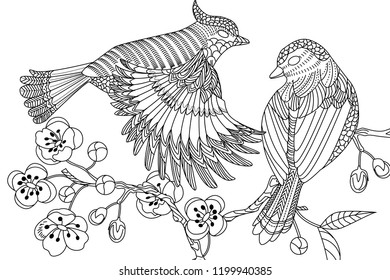 Vektor Stok Coloring Pages Colouring Pictures Birds Antistress (Tanpa