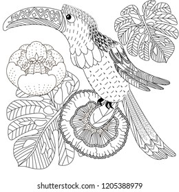 Coloring Pages. Coloring Book for adults. Colouring pictures with bird. Antistress freehand sketch drawing with doodle and zentangle elements.