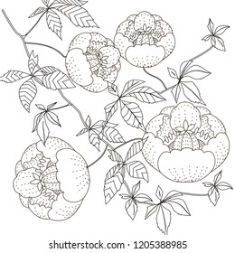 Coloring Pages. Coloring Book for adults. Colouring pictures with flowers. Antistress freehand sketch drawing with doodle and zentangle elements.