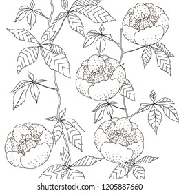 Coloring Pages. Coloring Book for adults. Colouring pictures with flowers. Antistress freehand sketch drawing with doodle and zentangle elements.