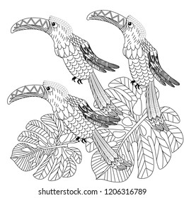 Coloring Pages. Coloring Book for adults. Colouring pictures with birds. Antistress freehand sketch drawing with doodle and zentangle elements.