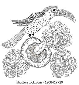 Coloring Pages. Coloring Book for adults. Colouring pictures with bird. Antistress freehand sketch drawing with doodle and zentangle elements.