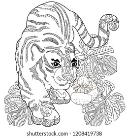 Coloring Pages. Coloring Book for adults. Colouring pictures with tiger. Antistress freehand sketch drawing with doodle and zentangle elements.