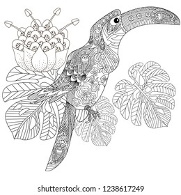 Coloring Pages. Coloring Book for adults. Colouring pictures with bird. Antistress freehand sketch drawing with doodle and zentangle elements.