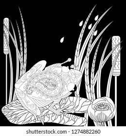 Coloring Pages. Coloring Book for adults. Colouring pictures with frog and lotus, lily flowers. Antistress freehand sketch drawing with doodle and zentangle element