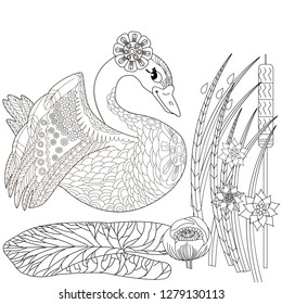 Coloring Pages. Coloring Book for adults. Colouring pictures with swan and lotus, lily flowers. Antistress freehand sketch drawing with doodle and zentangle elements.