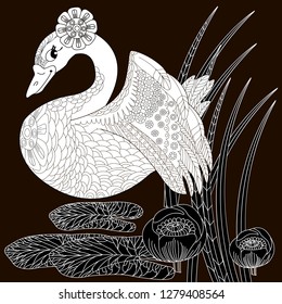 Coloring Pages. Coloring Book for adults. Colouring pictures with swan and lotus, lily flowers. Antistress freehand sketch drawing with doodle and zentangle elements.