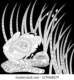 Coloring Pages. Coloring Book for adults. Colouring pictures with frog and lotus, lily flowers. Antistress freehand sketch drawing with doodle and zentangle element