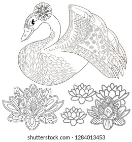 Coloring Pages. Coloring Book for adults. Colouring pictures with swan and lotus, lily flowers. Antistress freehand sketch drawing with doodle and zentangle elements
